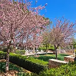 Relais Il Santissimo Otel 4*