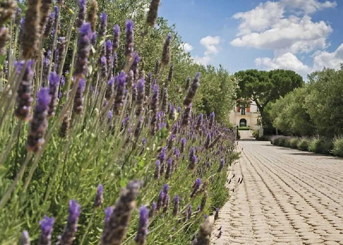 Relais Il Santissimo 4*