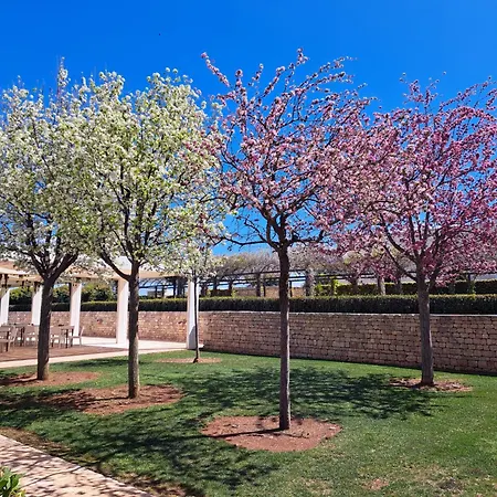 Relais Il Santissimo 4*