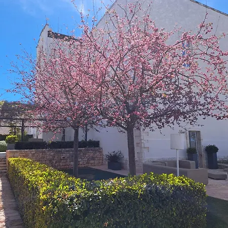 Relais Il Santissimo Hotel Turi