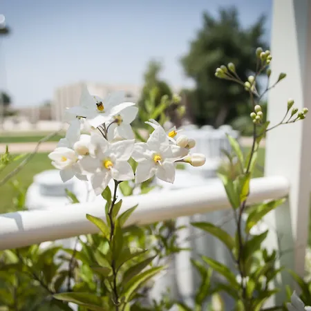 Relais Il Santissimo Hotel 4*