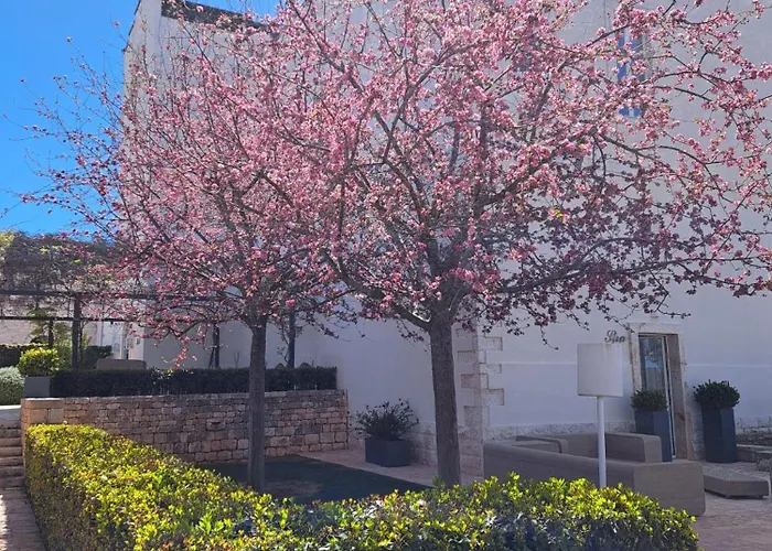 Relais Il Santissimo Hotel Turi